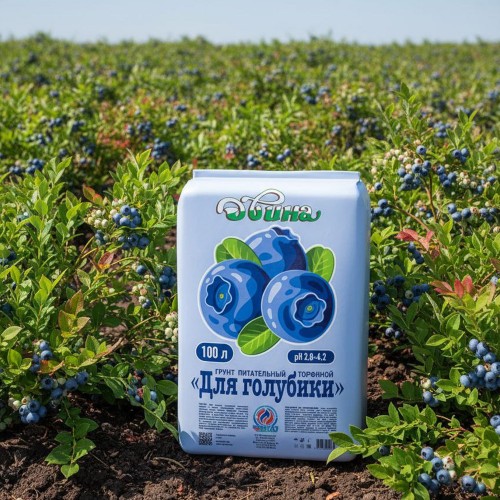 Грунт торфяной для голубики