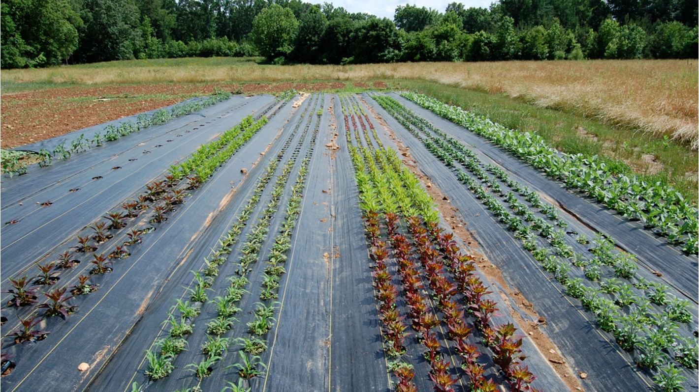 Выбор агроткани для сада и огорода виды и применение