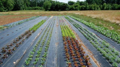 Выбор агроткани для сада и огорода виды и применение